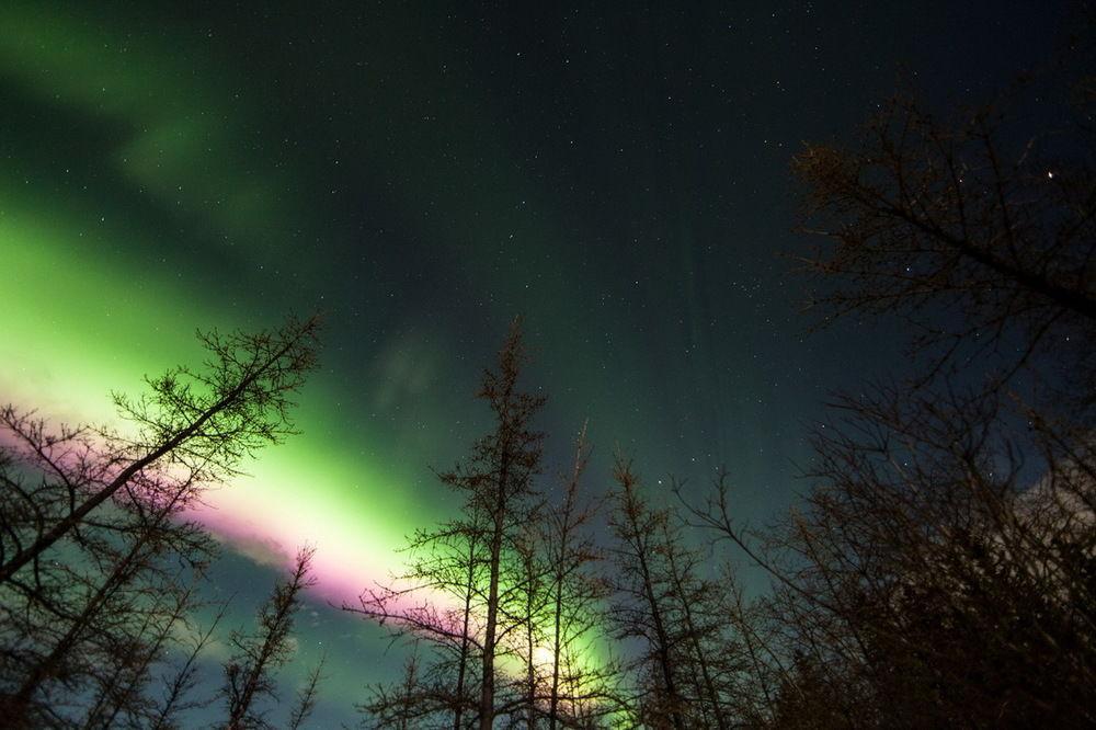 Sundog Retreat Hotel Whitehorse Buitenkant foto