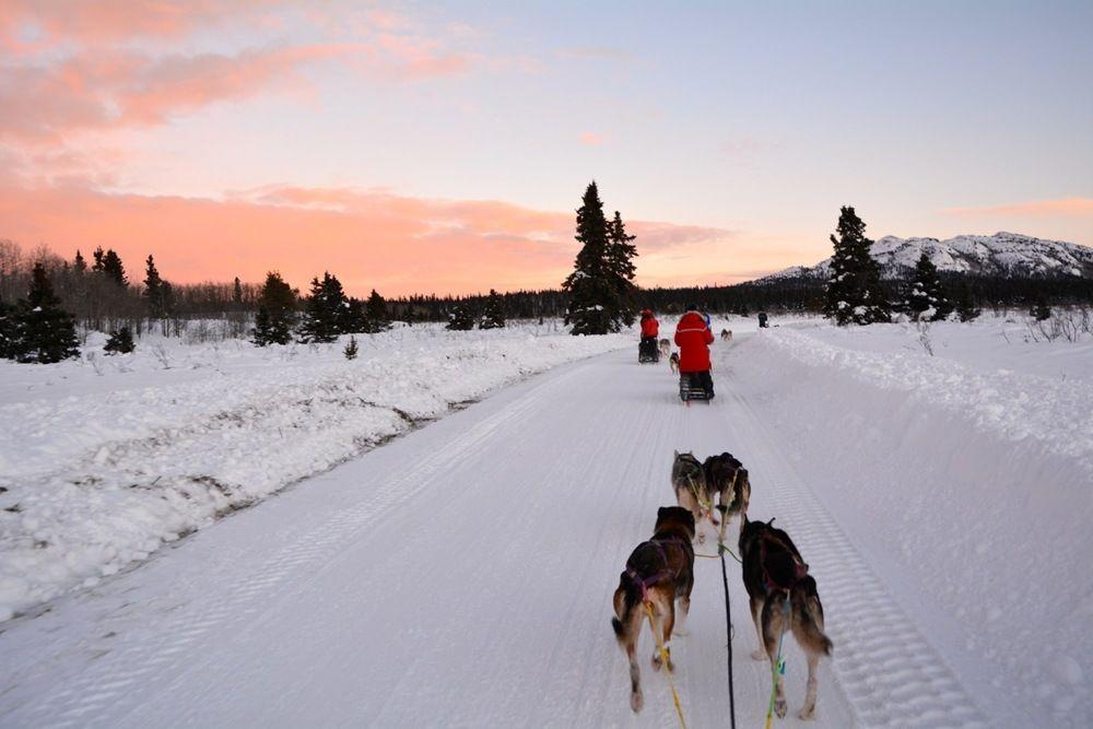 Sundog Retreat Hotel Whitehorse Buitenkant foto