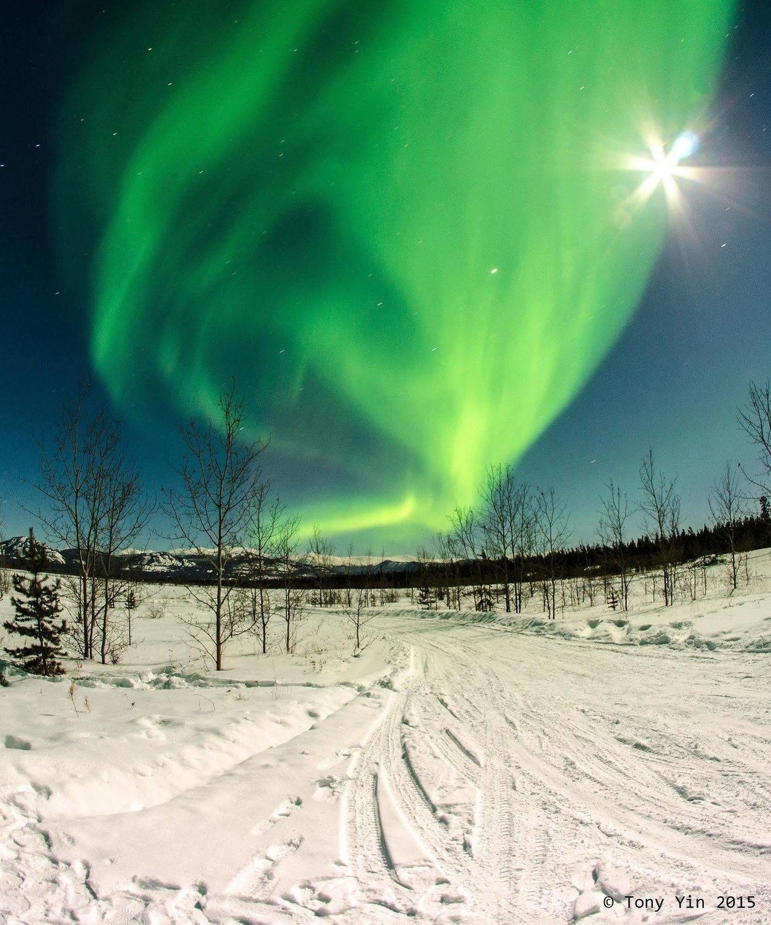Sundog Retreat Hotel Whitehorse Buitenkant foto